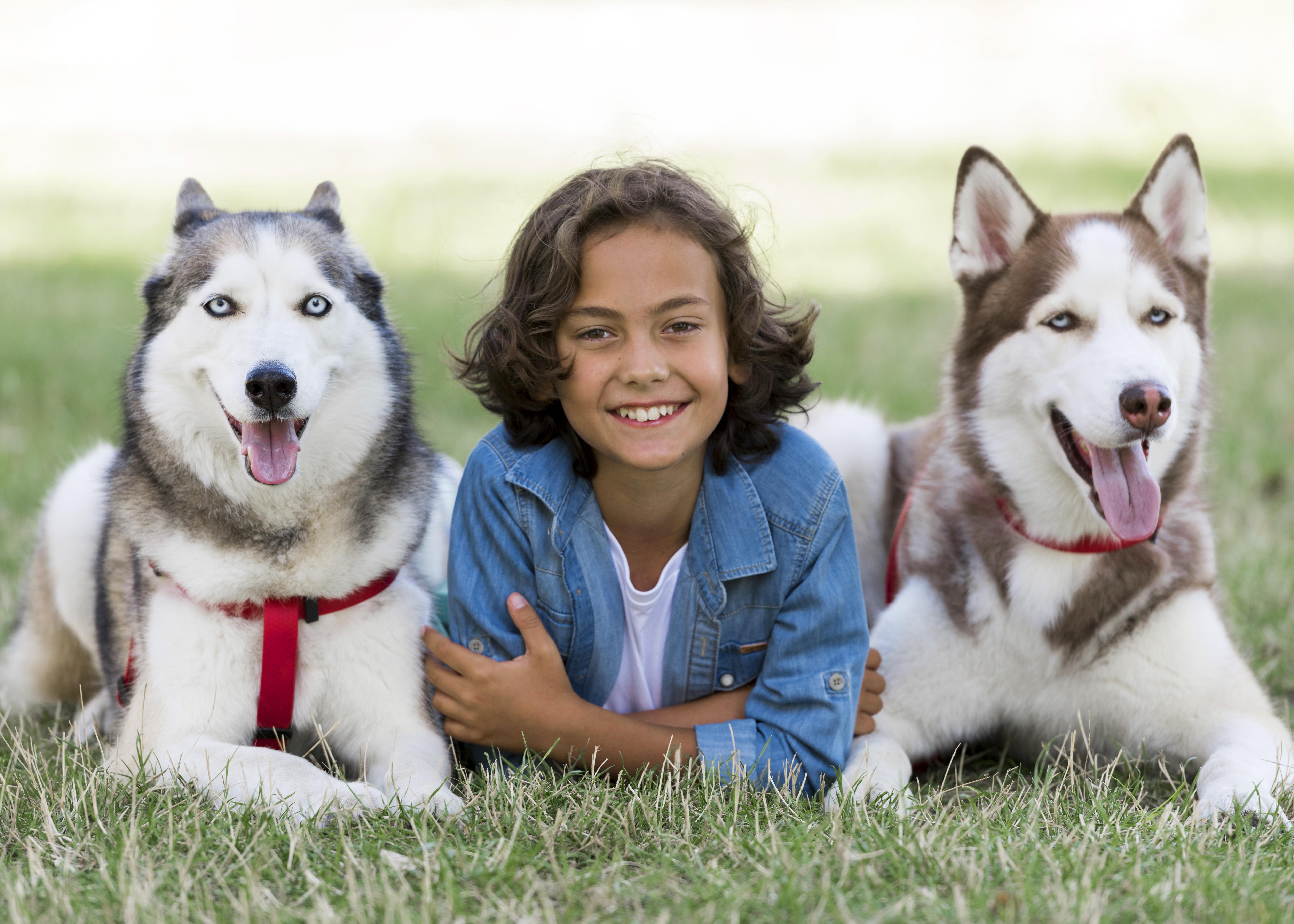 Pet Photography Service